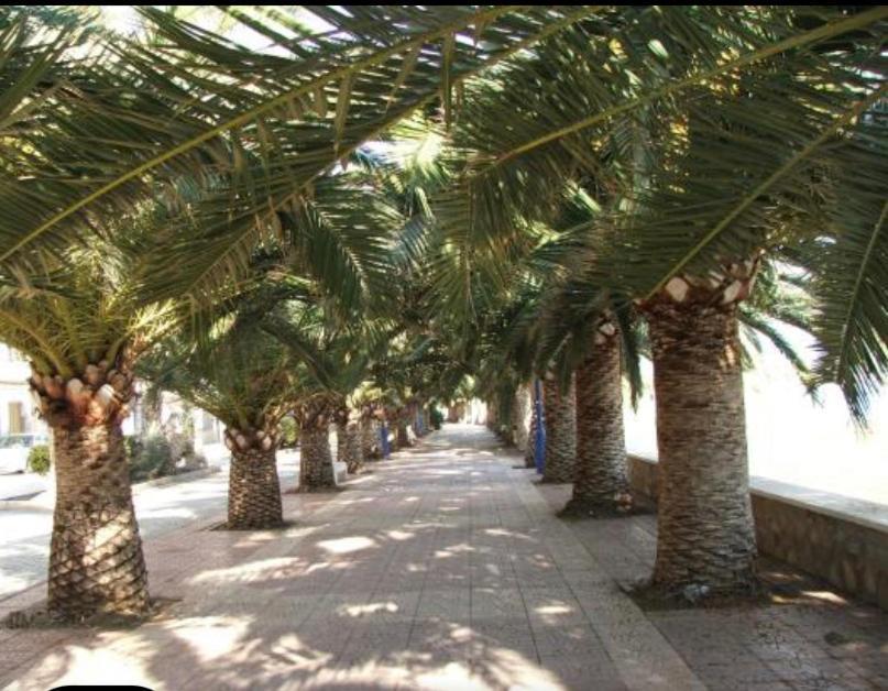 Vcc Home'S El Puerto de Mazarrón Buitenkant foto